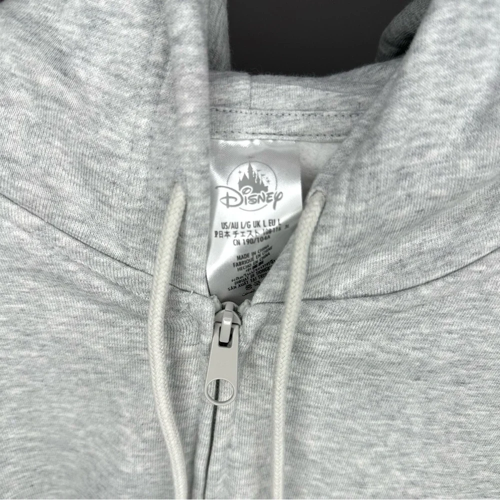 Walt Disney World Disney Parks Icons Hoodie Adult L - Picture 7 of 7